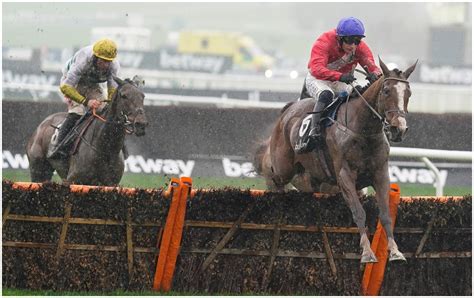 cheltenham going report|LATEST GOING NEWS AND GENERAL INFORMATION .